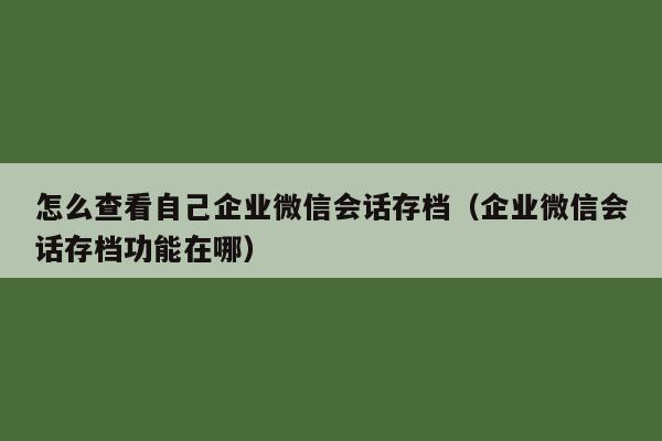 怎么查看自己企业微信会话存档（企业微信会话存档功能在哪）